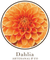 Dahliaartesanal.com