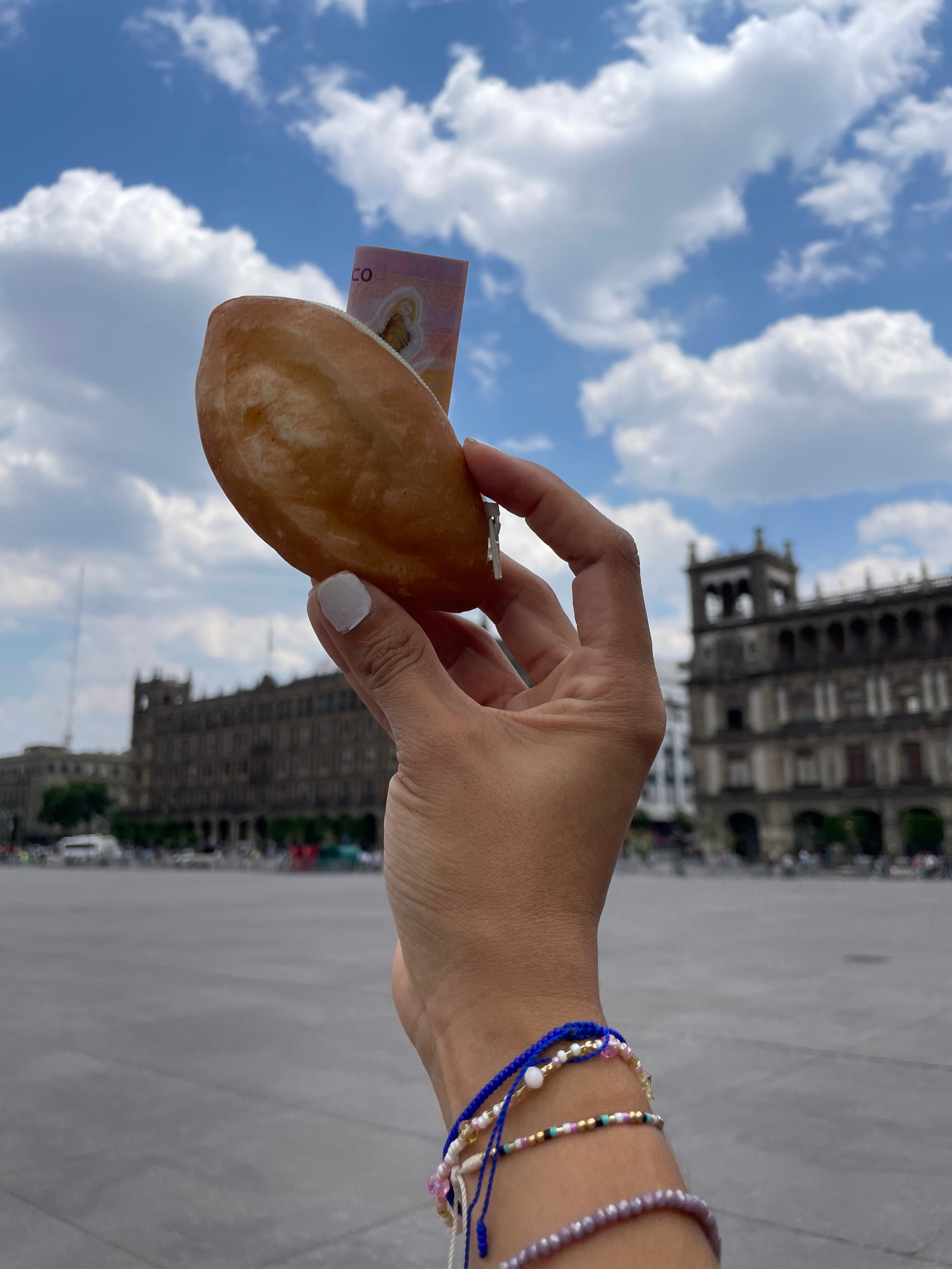 BOLILLO MONEDERO