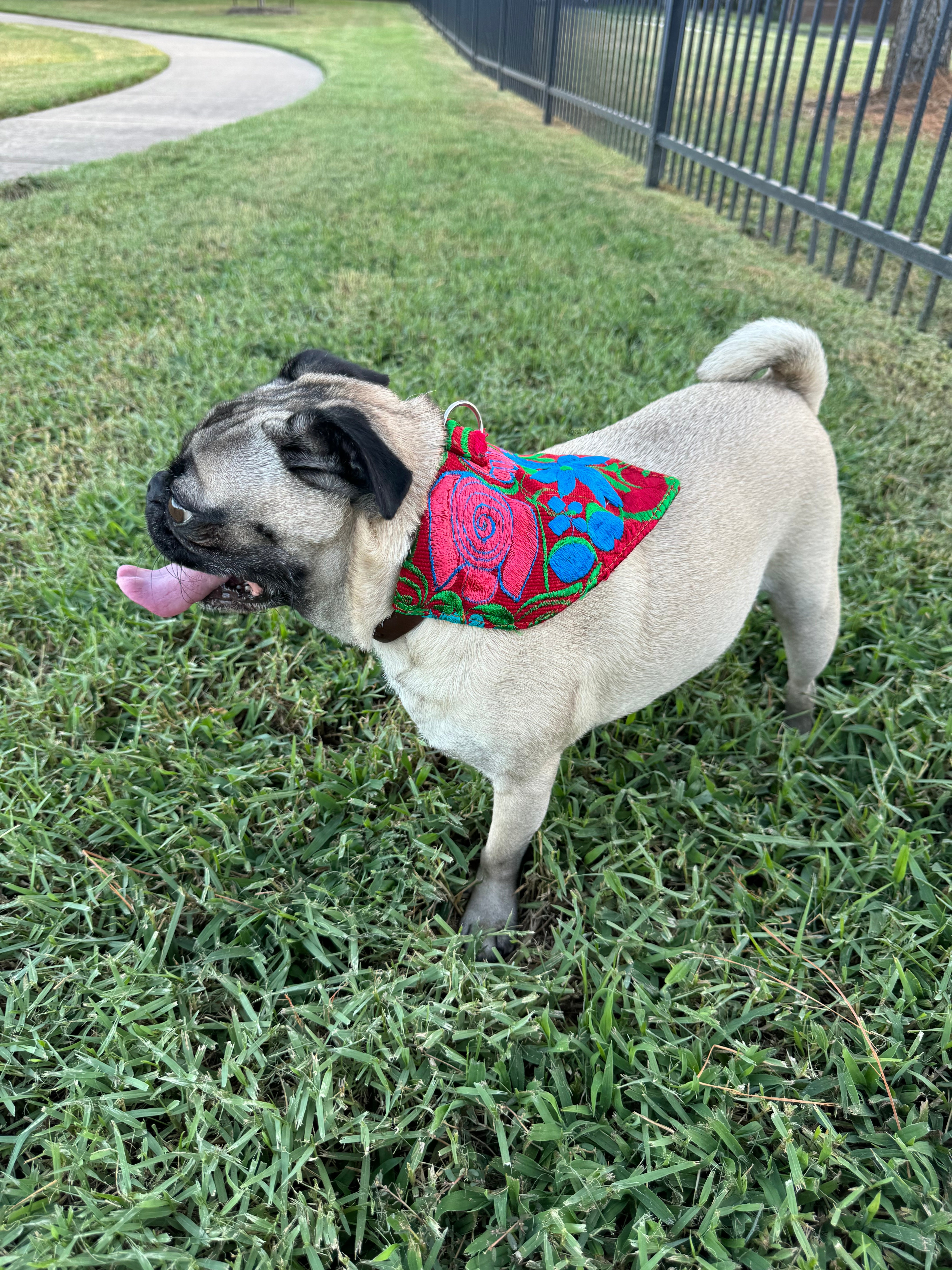 BANDANA DOGGY LEATHER STRAP