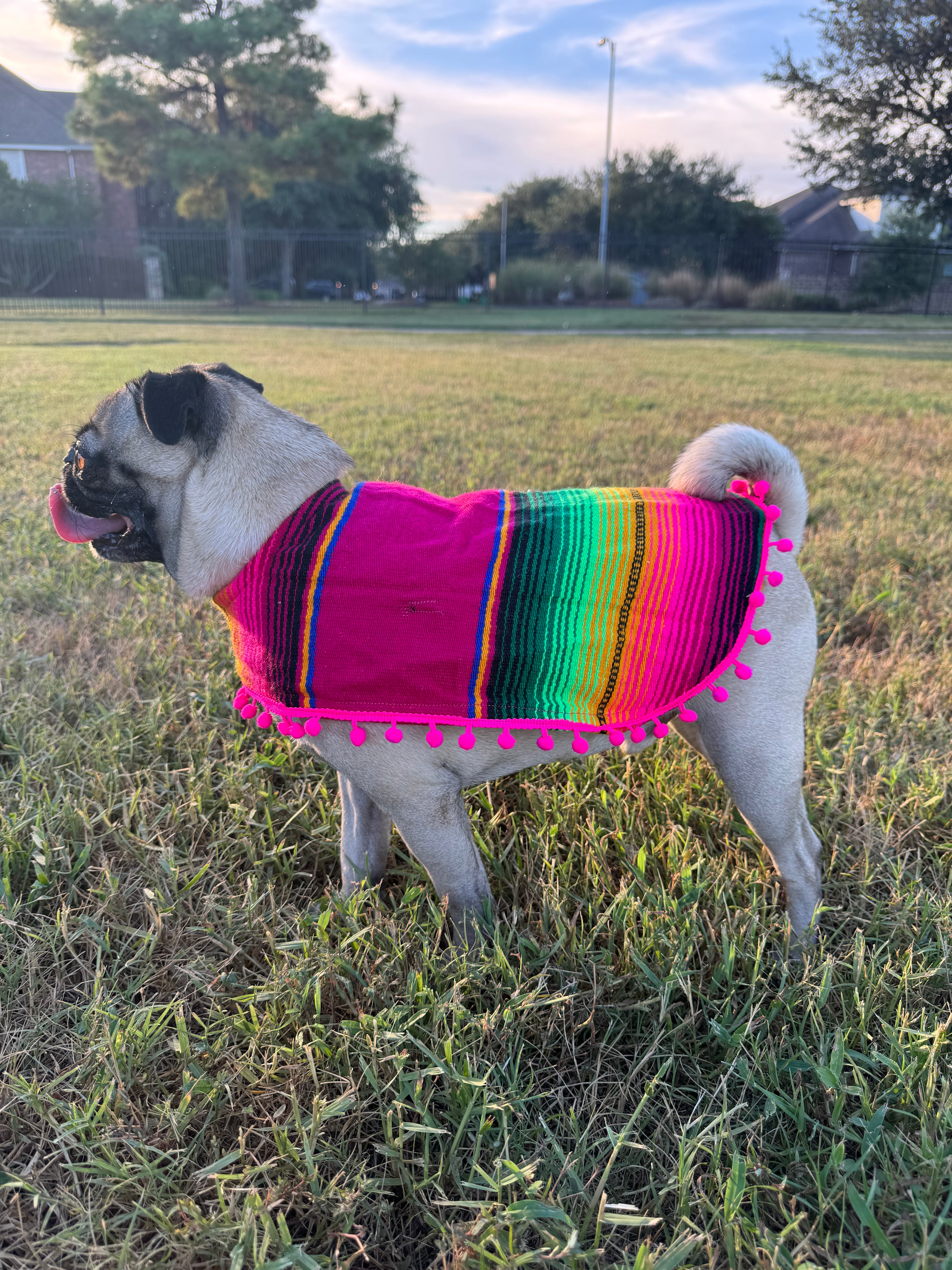 SERAPE DOGGY PONCHO