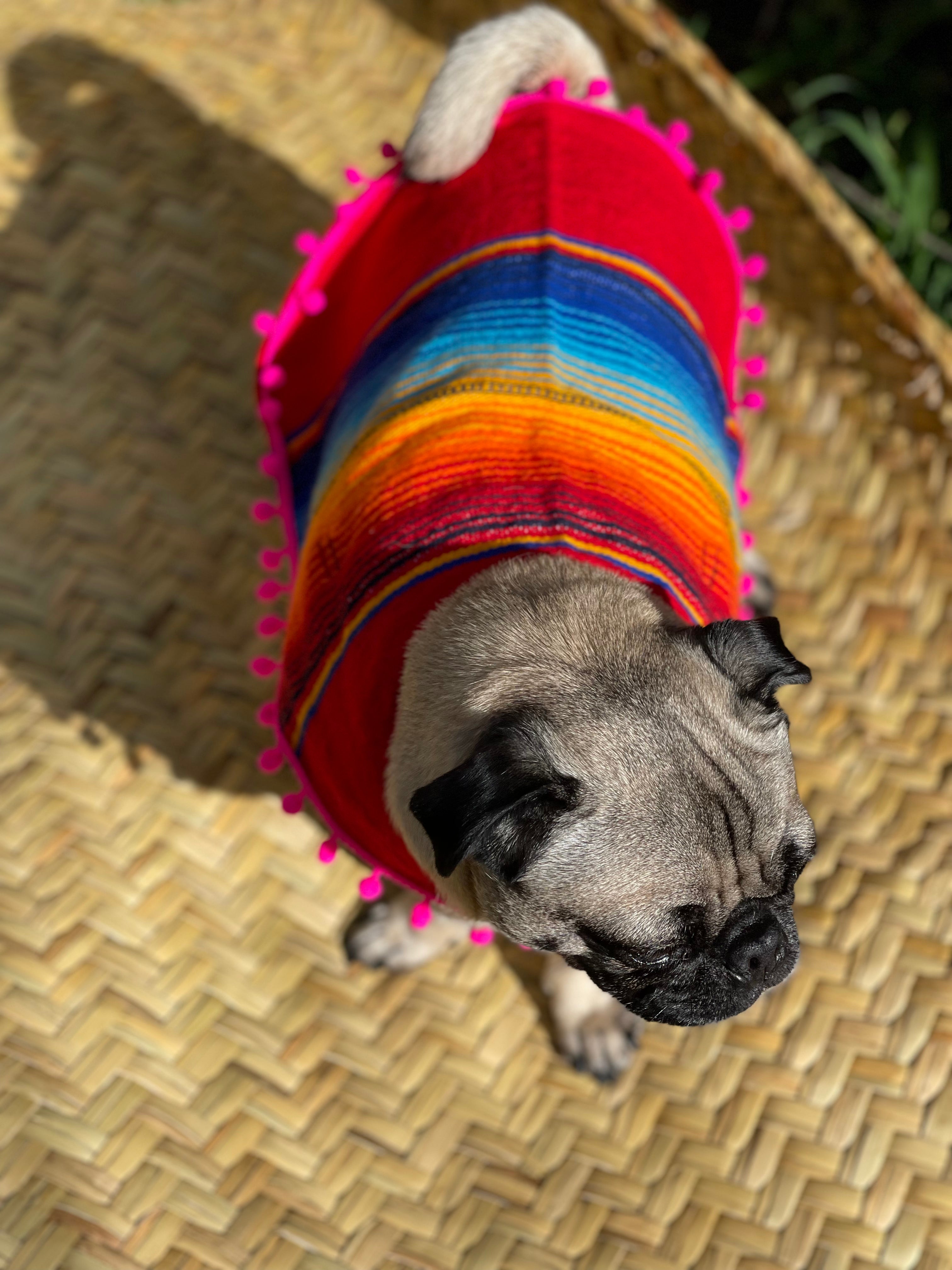 SERAPE DOGGY PONCHO