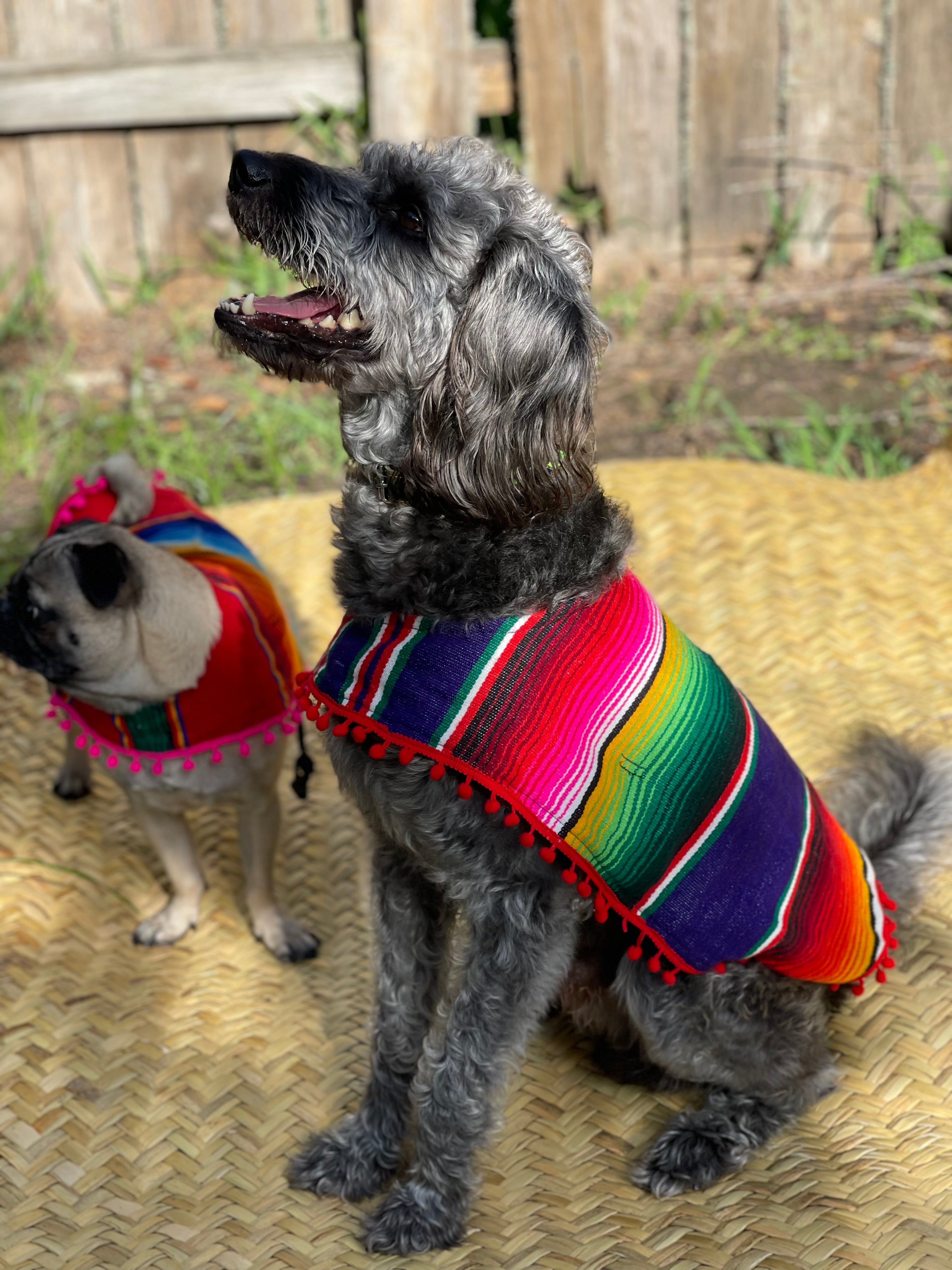 SERAPE DOGGY PONCHO